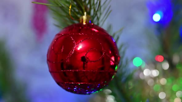 Christmas Tree Decorated with Red Glass Ball on Christmas Spruce Branch on Background Bokeh of