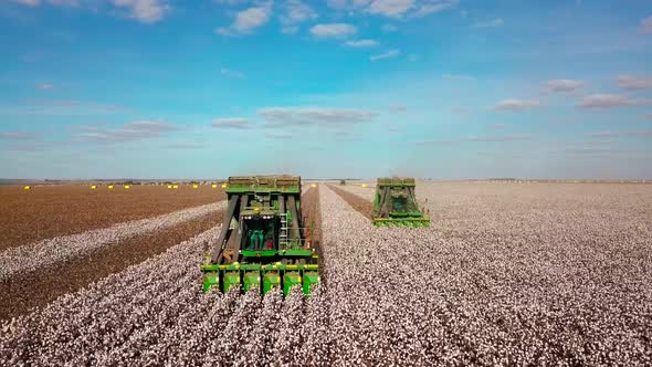 Tractor machine cotton pickers harvesting rows of valuable crop - pull back aerial leading view alt