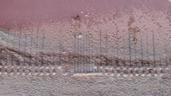 Crystallized pink salt on Kuyalnik estuary, top view. Abandoned salt farm with wooden posts in water alt