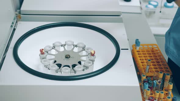 The Nurse Puts the Blood Test Tubes in a Centrifuge To Examine the Blood Tests. alt