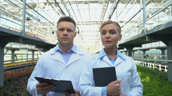 Concerned Scientists Looking Camera in Greenhouse, Agriculture Quality Control