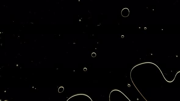 Transparent Cosmetic Gel Fluid with Molecule Bubbles Oil on Black Background alt