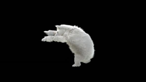 184 Bear StandingMagic Attack HD alt