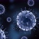 Virus  - VideoHive Item for Sale
