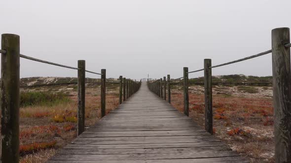 Walkway to the Beach alt