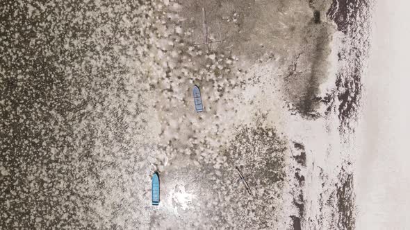 Shore of Zanzibar Island Tanzania at Low Tide alt