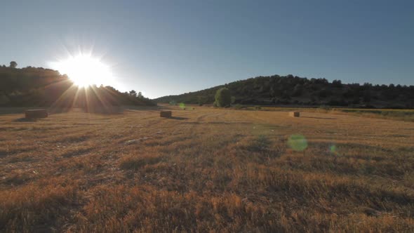 Strawbale on wheatfield after harvesting under scorching sun flaring alt