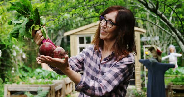 Mature woman holding beetroot vegetable 4k alt