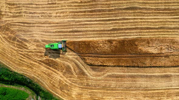 Top view of combine harvesting golden ripe wheat field. Harvester working in field, aerial view alt