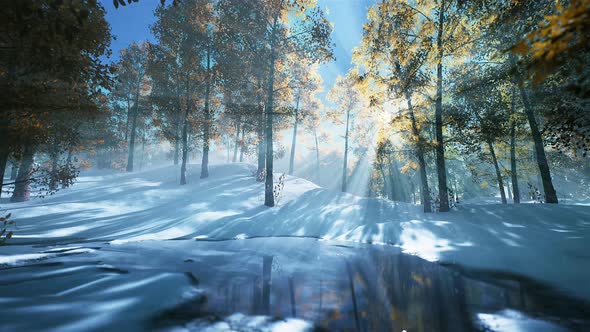 Snow falling in a forest looped 4K