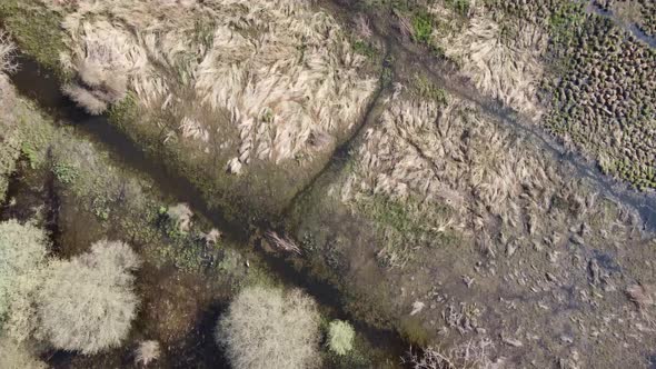 Bird's eye view of a swampy, irrigated field, with herron and walking people at the end alt