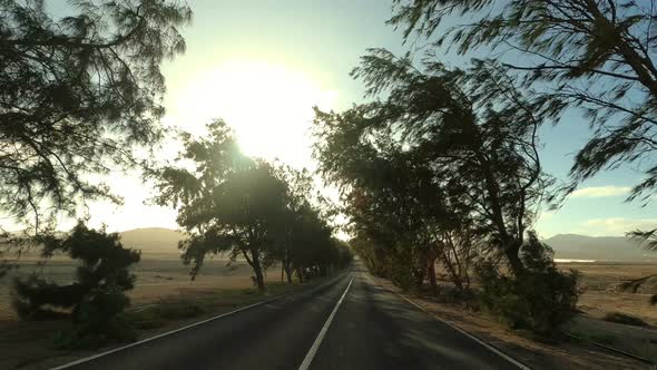 Long way asphalt straight road from ground pov. Vehicle driving and traveling outdoors concept. alt