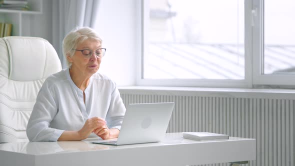 Smiling senior company lady worker waves hand and talks at online video meeting against sunlight alt