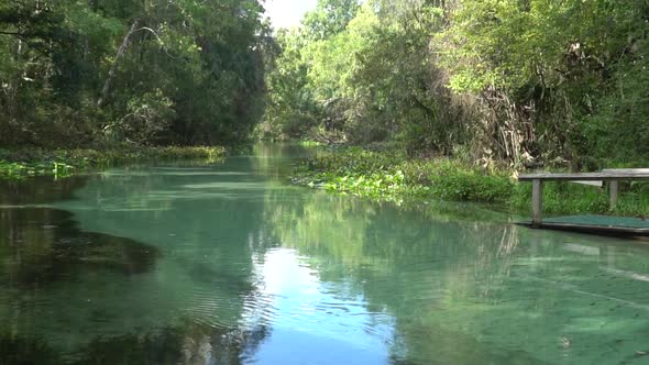 Clear Spring at Kelly Park close to Orlando and Apopka Florida alt