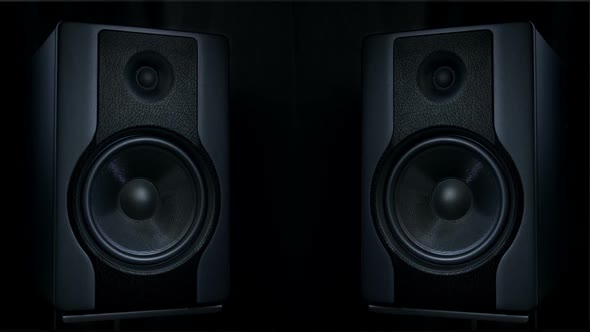 Set of Two Round Audio Speakers Vibrating alt