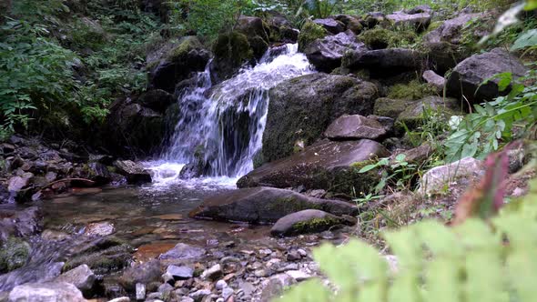 A Small Waterfall in a Mountain Forest alt
