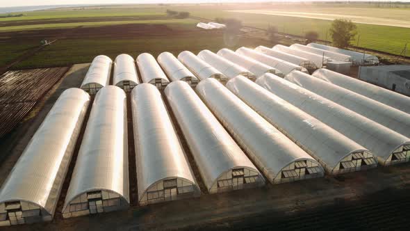 Aerial View of Greenhouse at a Beautiful Sunset alt