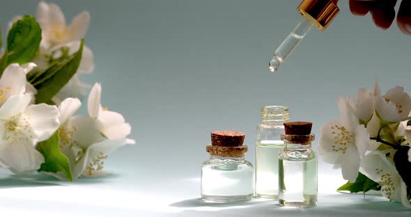 Jasmine Essential Oil is Dripped Into a Dropper on a Background of Jasmine