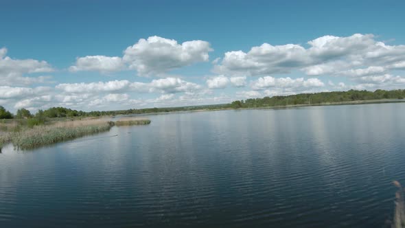 Fast and Agile Flight Over the Lake with a Pair of White Swans alt