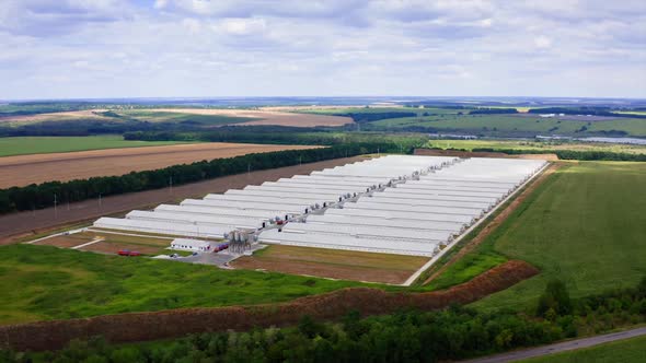 Modern farm poultry buildings. Newly built farm in green field. White roofs of long structures. alt