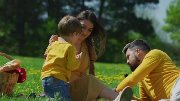Family having a picnic alt