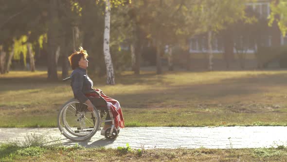 Woman in a Wheelchair Riding in the Park alt