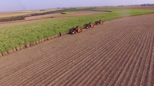 Sugar cane hasvest plantation with three machines view aerial alt