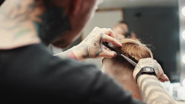 Hairdresser Makes Haircut To the Client alt