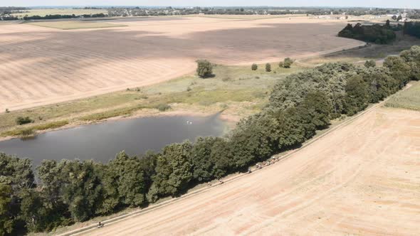 Group of cyclists riding bicycles in national park. alt