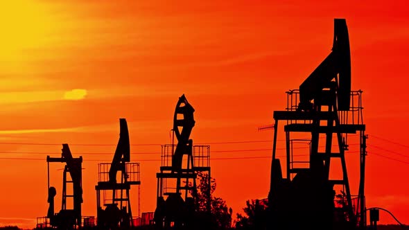 Silhouette of Oil Pumps in Large Oil Field at Sunrise.