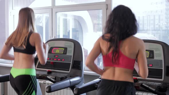 Two Young Athletic Women Running on a Treadmill at Gym. Fitness and Healthy Lifestyle Concept.