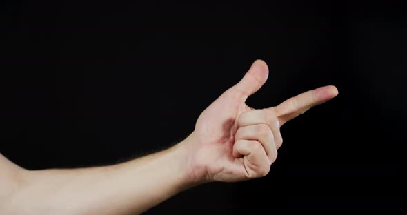 Hand counting from one to five alt