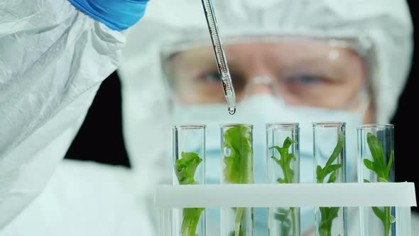 Scientist in Protective Jumpsuit and Glasses Works in the Laboratory with Samples of Plants alt