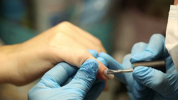 Manicurist in Blue Gloves Paints Nails. Applies Gel Polish To the Nail Plate