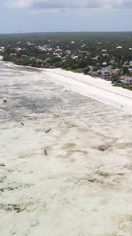 Tanzania  Vertical Video of Low Tide in the Ocean Near the Coast of Zanzibar Slow Motion alt