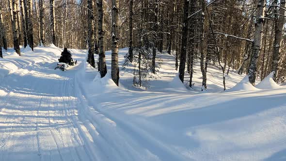 POV View of Two Snowmobile Rides Through the Pine Forest Slow Motion Footage alt