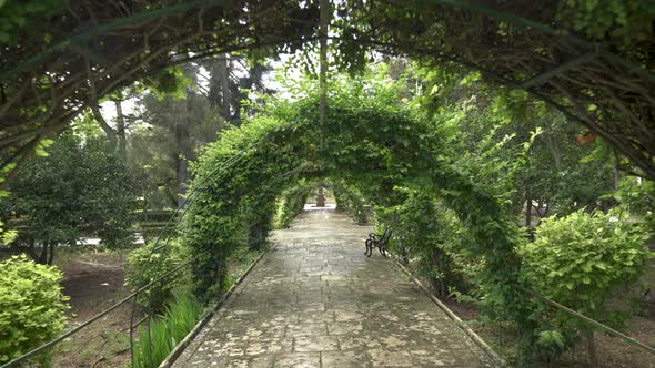 Walking Through Long Green Tunel of Vines in San Anton Gardens