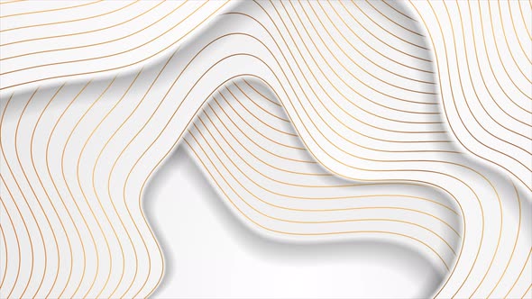 White Corporate Waves With Golden Lines