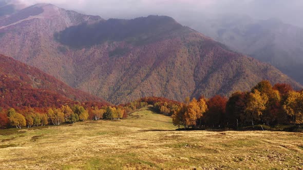 Aerial View of Beautiful Autumn Forest Colored Autumn Colors Trees Mountain Range in Background alt