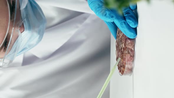 Vertical Video of Medical Scientist Inspecting Minced Vegan Meat Working in Laboratory alt