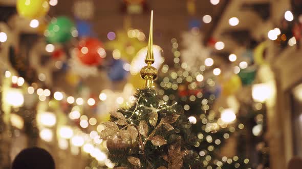 Christmas Tree with Golden Topper on Street