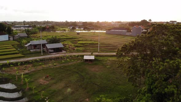 Rice Fields and Villas in Kerobokan, Bali