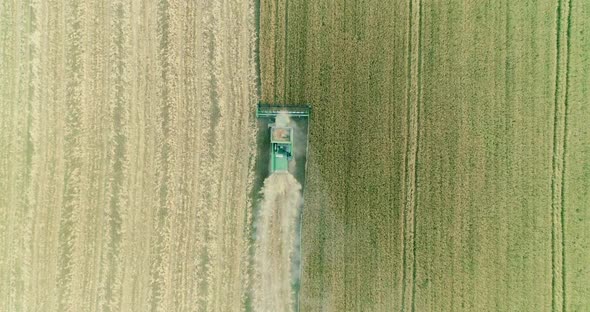 Modern combine harvester working on the wheat crop. Aerial view.