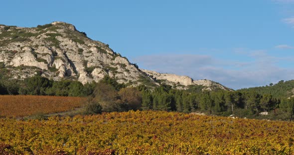 Mountains of the Alpilles overlooking the vineyards, Saint Remy de Provence, France alt