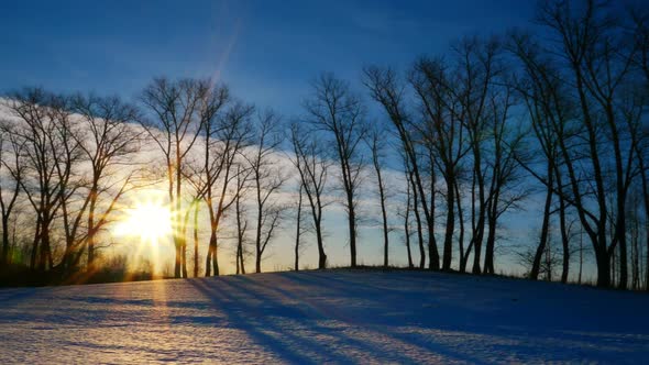 Shoot Of Sunset In Winter Forest 1
