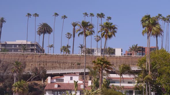 Panning shot pointing Cliffside off Ocean avenue in Santa Monica.  Palm trees swaying in the wind ri alt