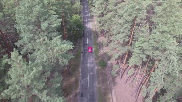 From a Height Above the Trees Red Car Drives Along an Old Road in a Pine Forest
