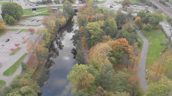 Autumn Trees Along River Next to Road Forward Aerial