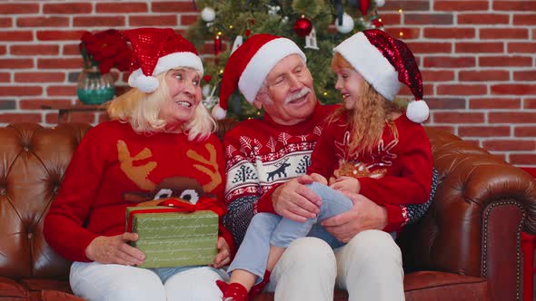 Happy Senior Grandparents with Granddaughter Enjoying Pleasant Conversation in Christmas Home Room alt