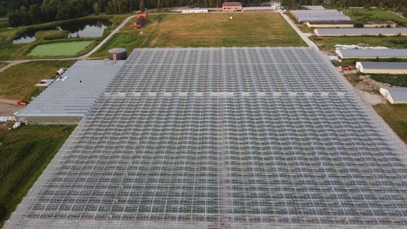 Agricultural Greenhouses